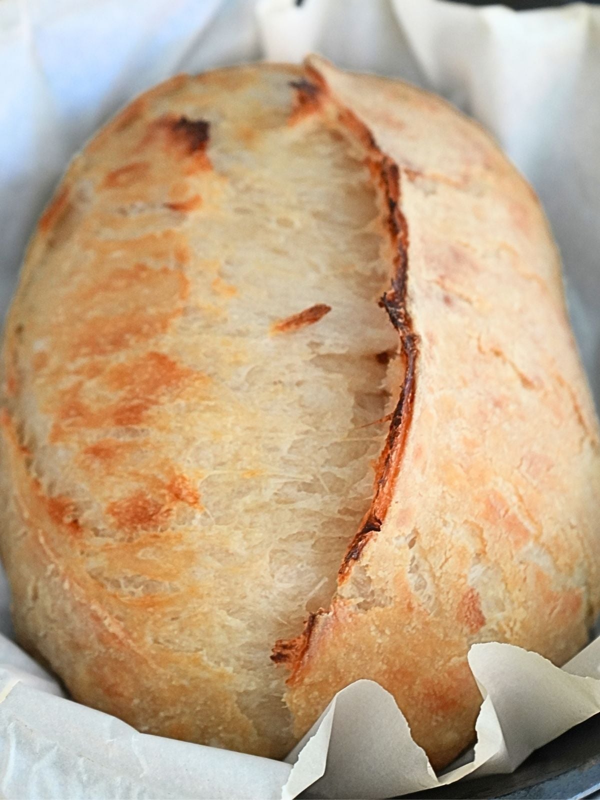 Baked sourdough croissant bread in a Dutch oven.